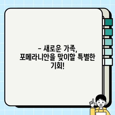 의정부 포메라니안 무료분양 기회| 귀여운 댕댕이 가족 맞이하세요! | 포메라니안 분양, 의정부 애견샵, 강아지 무료 분양