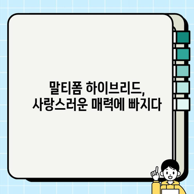 말티폼 하이브리드 무료분양| 사랑스러운 선택 | 귀여움 가득, 품종 정보와 분양 안내