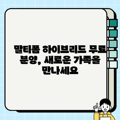 말티폼 하이브리드 무료분양| 사랑스러운 선택 | 귀여움 가득, 품종 정보와 분양 안내
