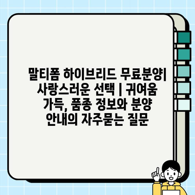 말티폼 하이브리드 무료분양| 사랑스러운 선택 | 귀여움 가득, 품종 정보와 분양 안내