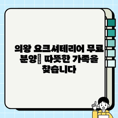 의왕에서 따뜻한 가족을 찾는 요크셔테리어 무료 분양 |  애견 입양, 반려견, 요크셔테리어 분양