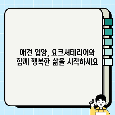 의왕에서 따뜻한 가족을 찾는 요크셔테리어 무료 분양 |  애견 입양, 반려견, 요크셔테리어 분양
