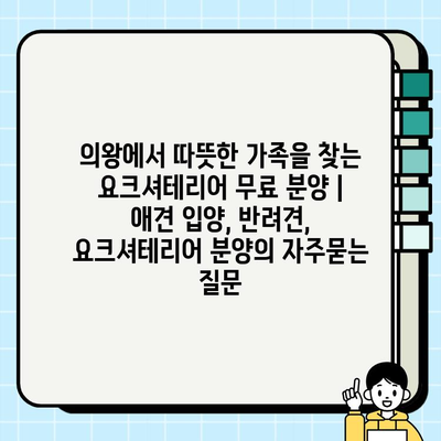 의왕에서 따뜻한 가족을 찾는 요크셔테리어 무료 분양 |  애견 입양, 반려견, 요크셔테리어 분양