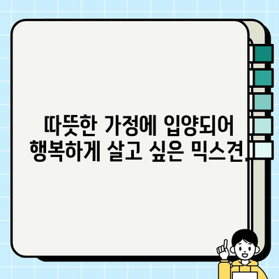 가평 무료 강아지 분양| 말티즈와 치와와 믹스견 입양하세요! | 가평, 무료 분양, 말티즈, 치와와, 믹스견, 강아지 입양