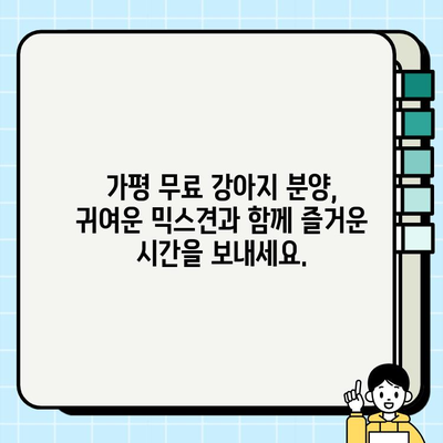 가평 무료 강아지 분양| 말티즈와 치와와 믹스견 입양하세요! | 가평, 무료 분양, 말티즈, 치와와, 믹스견, 강아지 입양