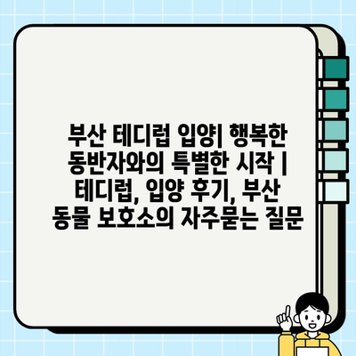 부산 테디럽 입양| 행복한 동반자와의 특별한 시작 | 테디럽, 입양 후기, 부산 동물 보호소