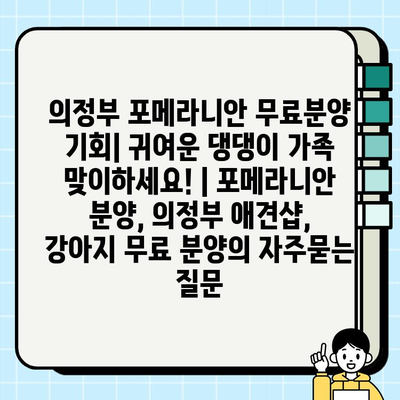 의정부 포메라니안 무료분양 기회| 귀여운 댕댕이 가족 맞이하세요! | 포메라니안 분양, 의정부 애견샵, 강아지 무료 분양