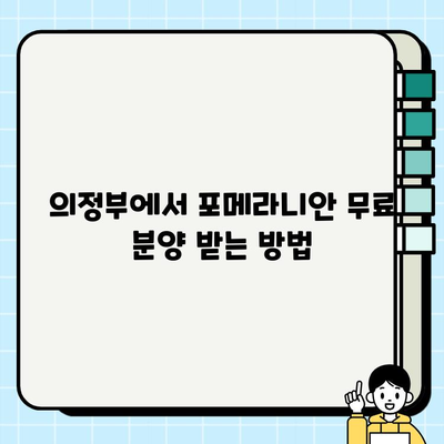 의정부에서 우아한 포메라니안 무료 분양 찾기| 귀여운 반려견을 맞이하세요! | 포메라니안 분양, 의정부 애견, 무료 분양 정보