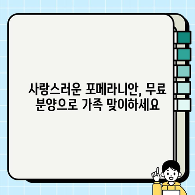 의정부에서 우아한 포메라니안 무료 분양 찾기| 귀여운 반려견을 맞이하세요! | 포메라니안 분양, 의정부 애견, 무료 분양 정보