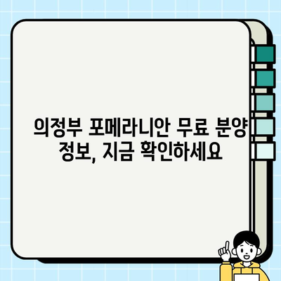 의정부에서 우아한 포메라니안 무료 분양 찾기| 귀여운 반려견을 맞이하세요! | 포메라니안 분양, 의정부 애견, 무료 분양 정보