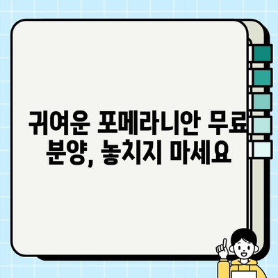 의정부에서 우아한 포메라니안 무료 분양 찾기| 귀여운 반려견을 맞이하세요! | 포메라니안 분양, 의정부 애견, 무료 분양 정보