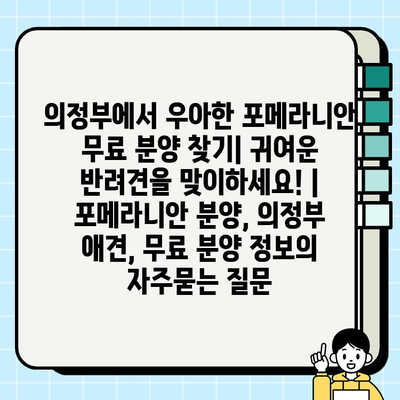 의정부에서 우아한 포메라니안 무료 분양 찾기| 귀여운 반려견을 맞이하세요! | 포메라니안 분양, 의정부 애견, 무료 분양 정보