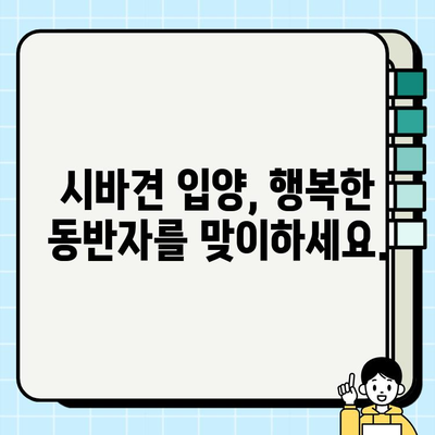 시바견 무료 분양| 유기견에게 따뜻한 보금자리 선물하세요 | 시바견 입양, 유기견 입양, 무료 분양, 행복한 동반자