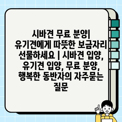 시바견 무료 분양| 유기견에게 따뜻한 보금자리 선물하세요 | 시바견 입양, 유기견 입양, 무료 분양, 행복한 동반자