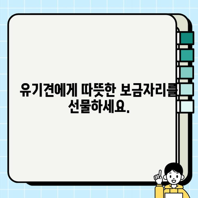 유기견 무료 분양, 따뜻한 마음을 찾아서|  새로운 가족을 맞이하는 당신의 특별한 선택 | 유기견 입양, 반려동물, 동물보호, 입양정보