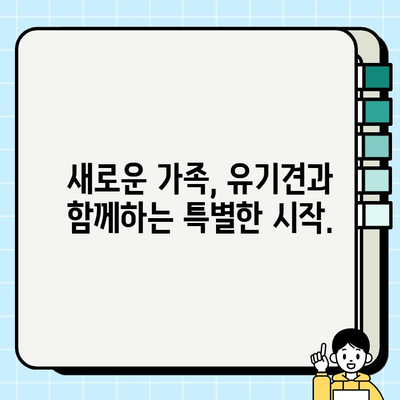 유기견 무료 분양, 따뜻한 마음을 찾아서|  새로운 가족을 맞이하는 당신의 특별한 선택 | 유기견 입양, 반려동물, 동물보호, 입양정보