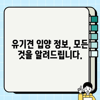 유기견 무료 분양, 따뜻한 마음을 찾아서|  새로운 가족을 맞이하는 당신의 특별한 선택 | 유기견 입양, 반려동물, 동물보호, 입양정보