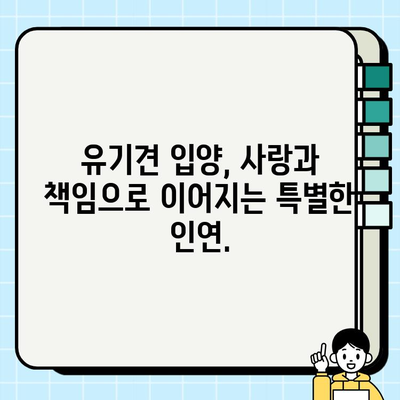유기견 무료 분양, 따뜻한 마음을 찾아서|  새로운 가족을 맞이하는 당신의 특별한 선택 | 유기견 입양, 반려동물, 동물보호, 입양정보