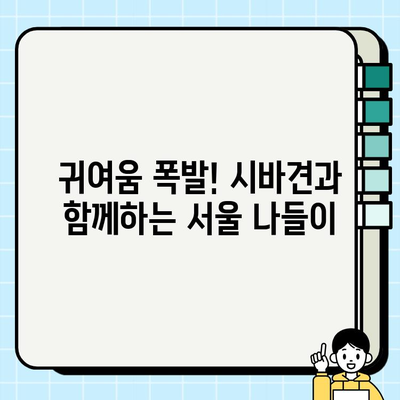 서울에서 만난 특별한 매력, 시바견 입양 이야기 | 시바견 입양, 서울, 강아지 입양, 반려견