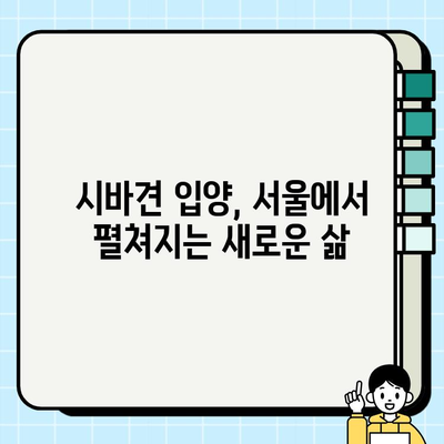 서울에서 만난 특별한 매력, 시바견 입양 이야기 | 시바견 입양, 서울, 강아지 입양, 반려견