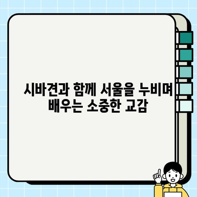 서울에서 만난 특별한 매력, 시바견 입양 이야기 | 시바견 입양, 서울, 강아지 입양, 반려견