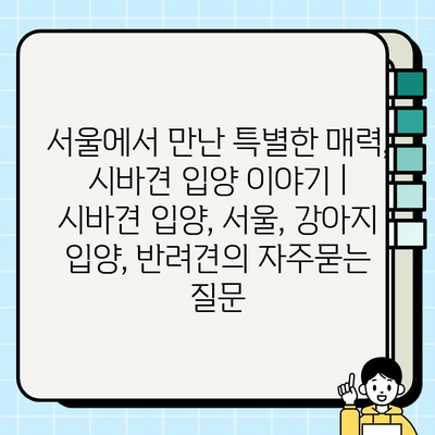 서울에서 만난 특별한 매력, 시바견 입양 이야기 | 시바견 입양, 서울, 강아지 입양, 반려견