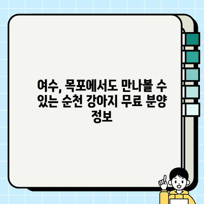 순천 강아지 무료 분양| 소중한 가족 맞이하기 (feat. 여수, 목포) | 입양 정보, 분양 후기, 유기견 봉사