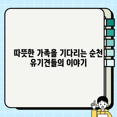 순천 강아지 무료 분양| 소중한 가족 맞이하기 (feat. 여수, 목포) | 입양 정보, 분양 후기, 유기견 봉사