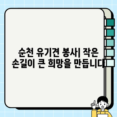 순천 강아지 무료 분양| 소중한 가족 맞이하기 (feat. 여수, 목포) | 입양 정보, 분양 후기, 유기견 봉사