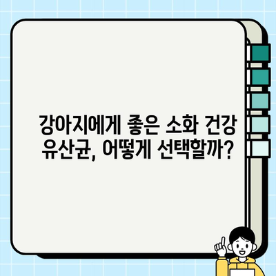 강아지 소화 건강 지키기| 소화관 관리 팁 & 질환 예방 가이드 | 반려견 건강, 소화기 건강, 영양, 질병
