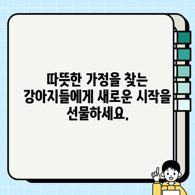 믿을 수 있는 가족| 무료 분양 강아지로 사랑과 충성심을 얻는 방법 | 강아지 무료 분양, 입양, 가족