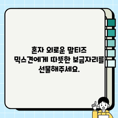 가평에서 무료 분양하는 말티즈 믹스견 찾기| 귀여운 반려견 입양하세요! | 가평 강아지 분양, 무료 입양, 말티즈 믹스, 가족 찾기
