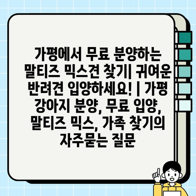 가평에서 무료 분양하는 말티즈 믹스견 찾기| 귀여운 반려견 입양하세요! | 가평 강아지 분양, 무료 입양, 말티즈 믹스, 가족 찾기
