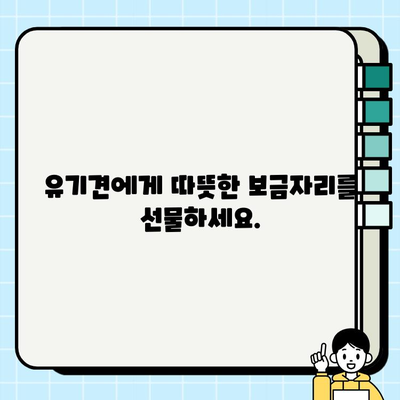 진정한 동반자를 찾으세요| 무료 분양 강아지와 영원한 우정을 나누세요 | 강아지 입양, 유기견, 반려동물