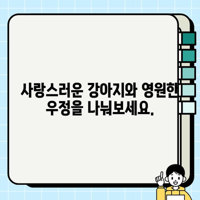 진정한 동반자를 찾으세요| 무료 분양 강아지와 영원한 우정을 나누세요 | 강아지 입양, 유기견, 반려동물