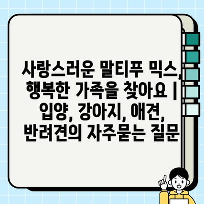 사랑스러운 말티푸 믹스, 행복한 가족을 찾아요 | 입양, 강아지, 애견, 반려견
