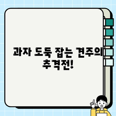 허스키의 놀라운 변신! 과자가 사라진 충격적인 동공 지진 | 허스키, 과자, 견주, 반려견, 애견