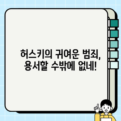 허스키의 놀라운 변신! 과자가 사라진 충격적인 동공 지진 | 허스키, 과자, 견주, 반려견, 애견