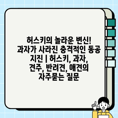 허스키의 놀라운 변신! 과자가 사라진 충격적인 동공 지진 | 허스키, 과자, 견주, 반려견, 애견