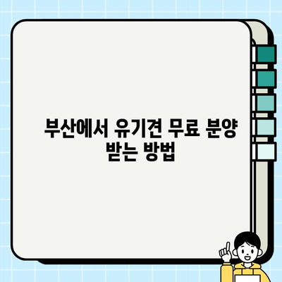 부산 유기견 무료 분양| 과정과 팁 완벽 가이드 | 부산, 유기견, 입양, 분양, 정보, 팁