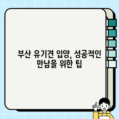 부산 유기견 무료 분양| 과정과 팁 완벽 가이드 | 부산, 유기견, 입양, 분양, 정보, 팁