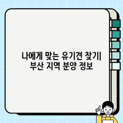 부산 유기견 무료 분양| 과정과 팁 완벽 가이드 | 부산, 유기견, 입양, 분양, 정보, 팁