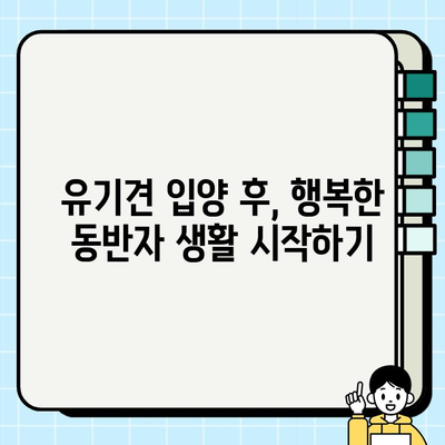 부산 유기견 무료 분양| 과정과 팁 완벽 가이드 | 부산, 유기견, 입양, 분양, 정보, 팁
