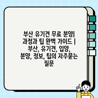 부산 유기견 무료 분양| 과정과 팁 완벽 가이드 | 부산, 유기견, 입양, 분양, 정보, 팁