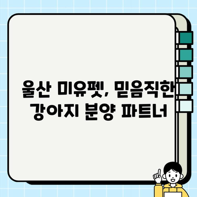 울산 미유펫과 함께 찾은 나의 강아지, 행복한 새 집 | 입양 후기, 울산 애견샵, 강아지 분양