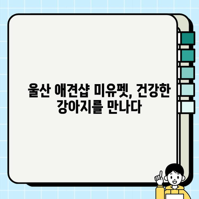 울산 미유펫과 함께 찾은 나의 강아지, 행복한 새 집 | 입양 후기, 울산 애견샵, 강아지 분양