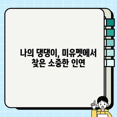 울산 미유펫과 함께 찾은 나의 강아지, 행복한 새 집 | 입양 후기, 울산 애견샵, 강아지 분양