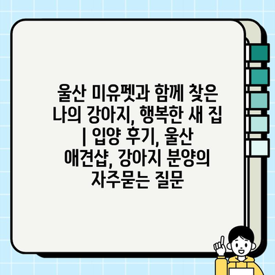 울산 미유펫과 함께 찾은 나의 강아지, 행복한 새 집 | 입양 후기, 울산 애견샵, 강아지 분양