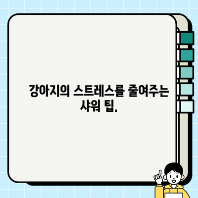 임산부와 강아지, 안전하고 행복한 샤워 시간 만들기| 임산부 강아지 배려 가이드 | 임신, 반려견, 샤워, 안전, 배려