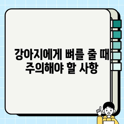 강아지 식단에 뼈 첨가하기| 안전하게 급여하는 방법 | 강아지 뼈, 뼈 간식, 안전한 뼈 종류, 주의 사항